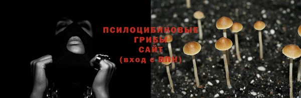 дмт Володарск