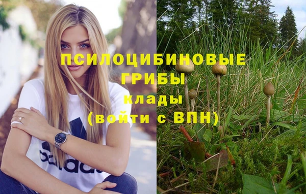 гашишное масло Волоколамск