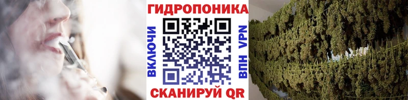 Бошки марихуана план  где можно купить наркотик  Кашин 
